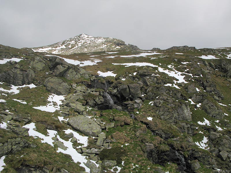 Schafspitze